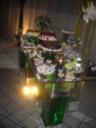 /album/verde-e-branco/fotos3-034-jpg/
